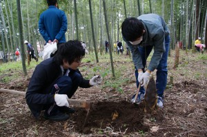 竹の子堀の様子