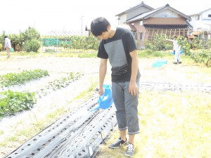 tanamaki2016(3)