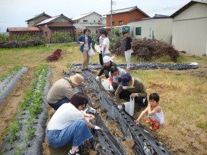 tanemaki2017(1)