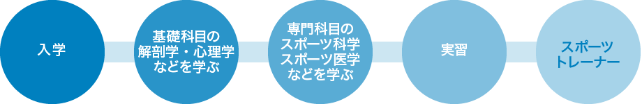 スポーツトレーナーになるまで