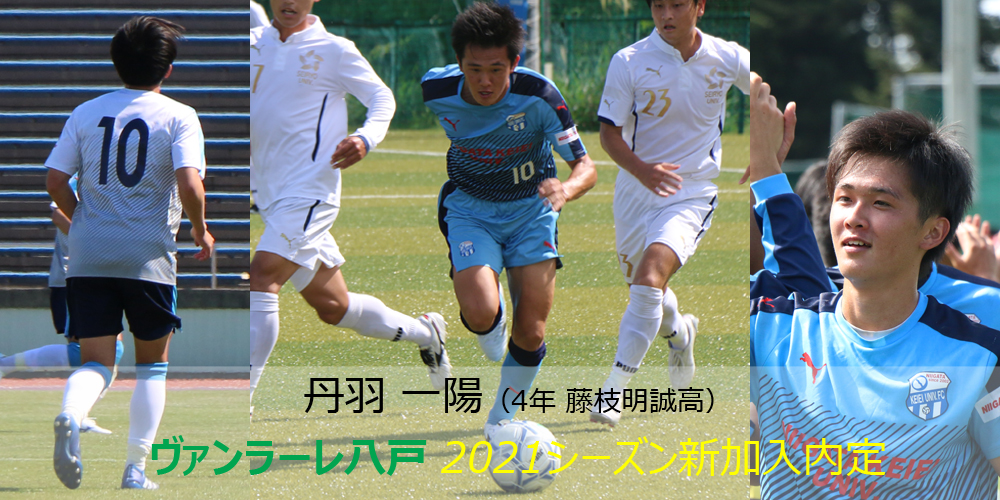 新潟 経営 大学 サッカー 部