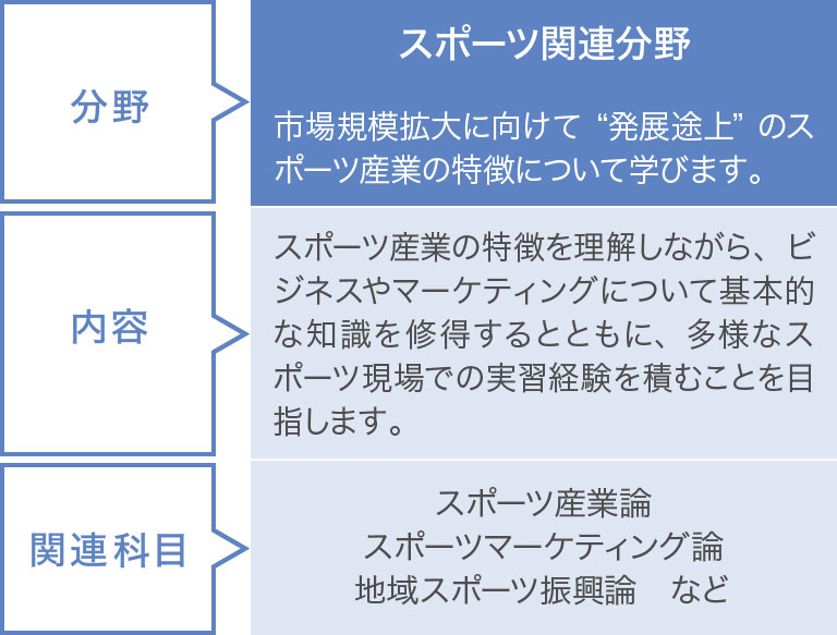 スポーツ関連分野