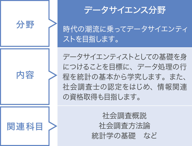 データサイエンス分野